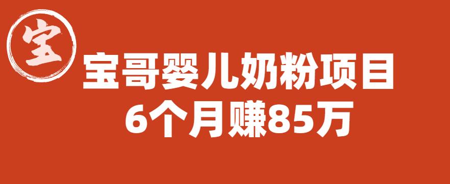 宝哥婴儿奶粉项目，6个月赚85w【图文非视频】【揭秘】-冒泡网