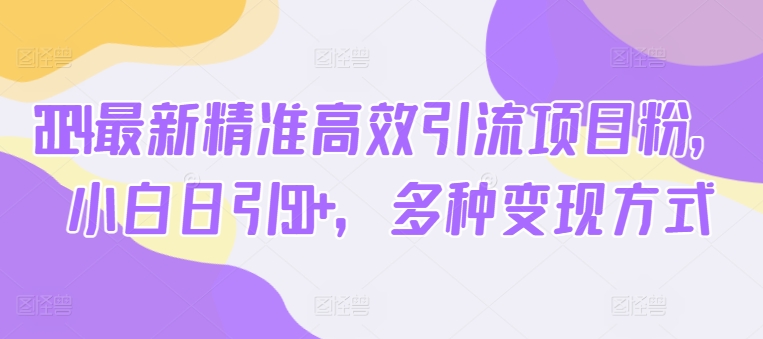 最新精准高效引流项目粉,小白日引50+,多种变现方式-冒泡网