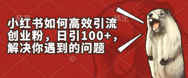 小红书如何高效引流创业粉，日引100+，解决你遇到的问题【揭秘】-冒泡网