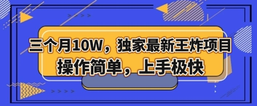 三个月10W，独家最新王炸项目！操作简单，上手极快【揭秘】-冒泡网