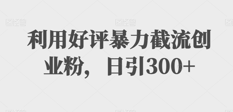 利用好评暴力截流创业粉,日引300+-冒泡网