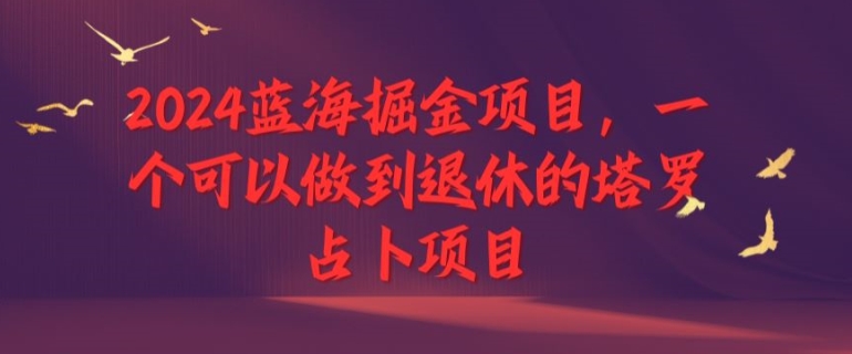蓝海掘金项目，一个可以做到退休的塔罗占卜项目-冒泡网