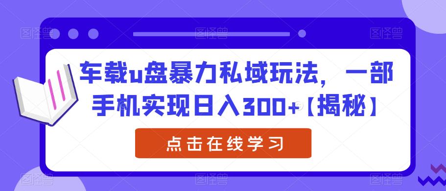 车载u盘暴力私域玩法,一部手机实现日入300+【揭秘】-冒泡网