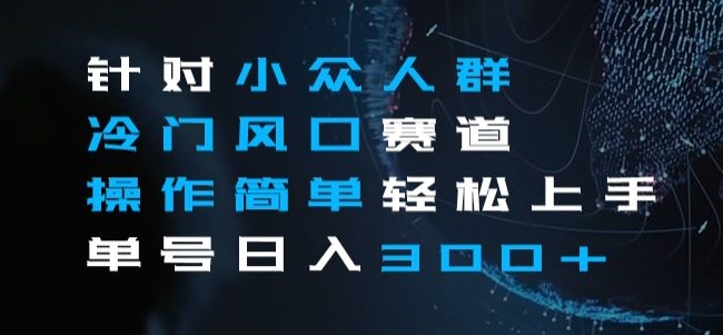 针对小众人群冷门风口赛道，操作简单轻松上手单号日入300+-冒泡网