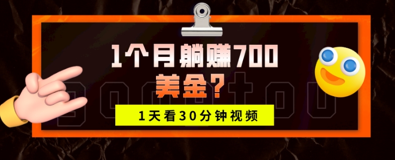 1天看30分钟视频，1个月躺赚700美金？-冒泡网