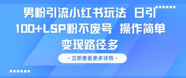 男粉引流小红书玩法,日引100+LSP粉不废号,操作简单,变现路径多-冒泡网