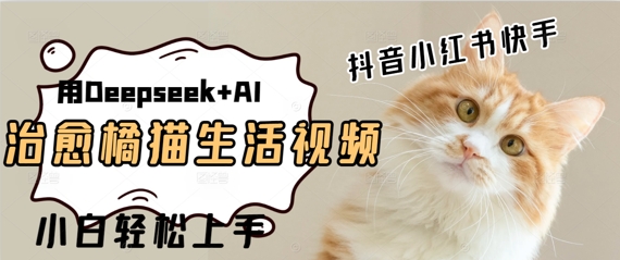 疯狂火爆，用Deepseek+AI做治愈橘猫系列视频，小白轻松制作+快速拿到结果-冒泡网