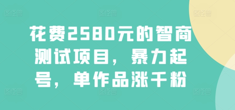 花费2580元的智商测试项目，暴力起号，单作品涨千粉-冒泡网