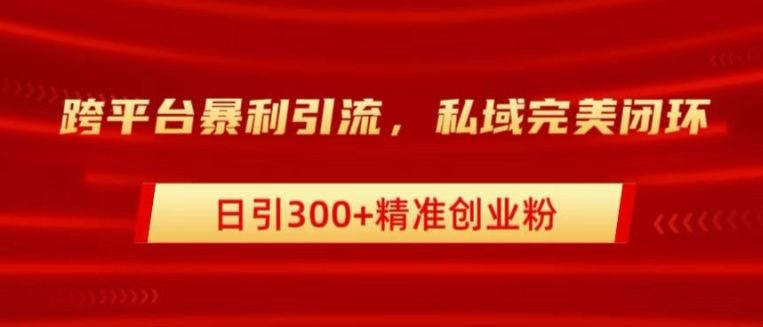 跨平台暴力引流,私域完美闭环,日引100+精准创业粉-冒泡网