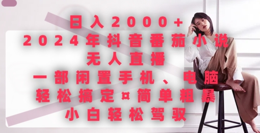 日入2000+,年抖音番茄小说无人直播,简单粗暴,小白轻松驾驭-冒泡网
