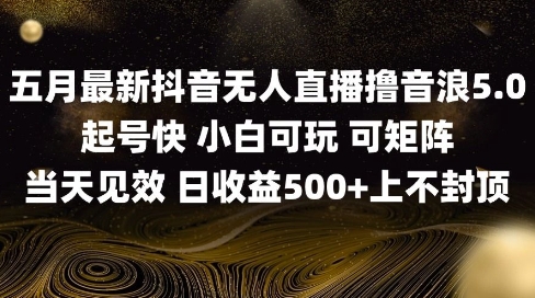 2025五月最新无人直播撸音浪单日产出5张+实操教程【揭秘】-冒泡网