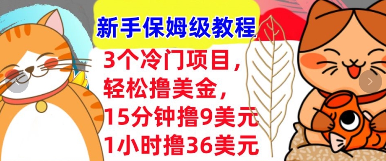 3个冷门项目，轻松撸美刀，1小时撸36刀，新手保姆级教程-冒泡网