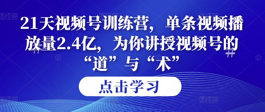 第14期21天视频号训练营,单条视频播放量2.4亿,为你讲授视频号的“道”与“术”!-冒泡网