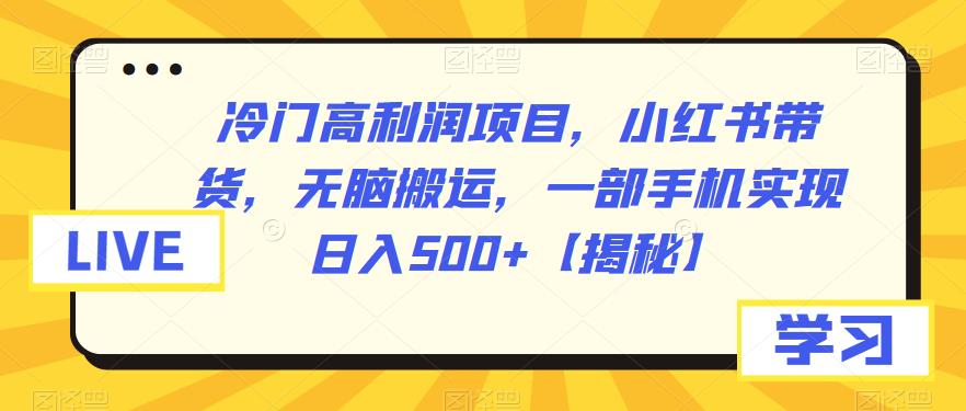 冷门高利润项目，小红书带货，无脑搬运，一部手机实现日入500+【揭秘】-冒泡网