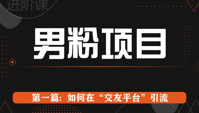 男粉项目系列课程第一篇: Soul暴力引流-冒泡网