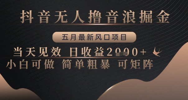 抖音无人撸音浪掘金,五月最新风口项目,当天见效,日收益多张,小白可做简单粗暴可矩阵【揭秘】-冒泡网