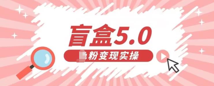 盲盒交友5.0,男粉变现实操项目,亲测变现效果极好【揭秘】-冒泡网