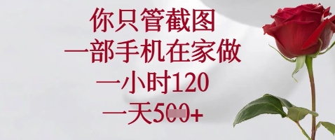 你只管截图,一部手机在家做,苹果安卓都可以,一小时120,一天5张+【揭秘】-冒泡网