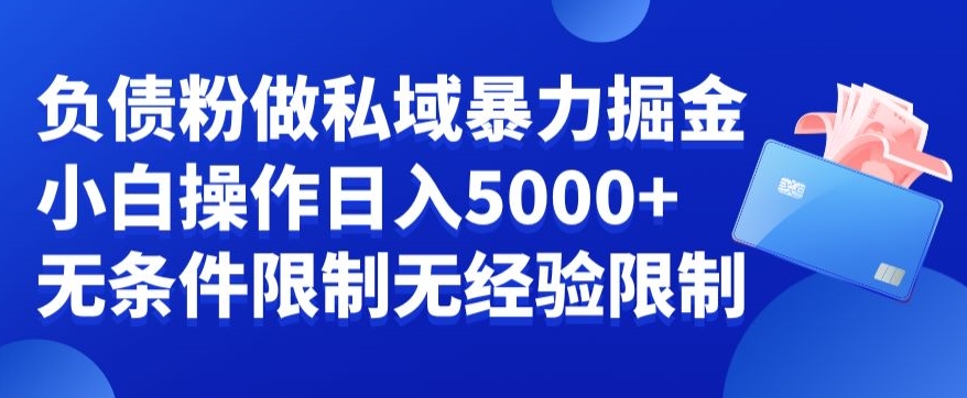 负债粉私域暴力掘金,小白操作入5000,无经验限制,无条件限制【揭秘】-冒泡网