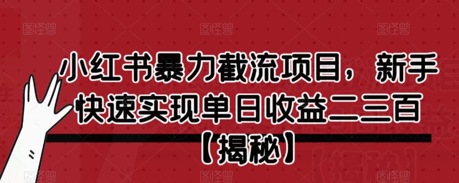 小红书暴力截流项目，新手快速实现单日收益二三百【仅揭秘】-冒泡网