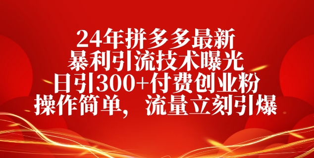24年拼多多最新暴利引流技术曝光,日引300+付费创业粉,操作简单,流量立刻引爆-冒泡网