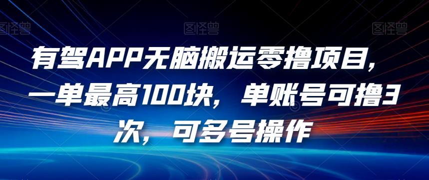 有驾APP无脑搬运零撸项目，一单最高100块，单账号可撸3次，可多号操作【揭秘】-冒泡网