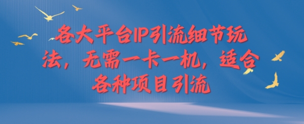 各大平台IP引流细节玩法,无需一卡一机,适合各种项目引流-冒泡网