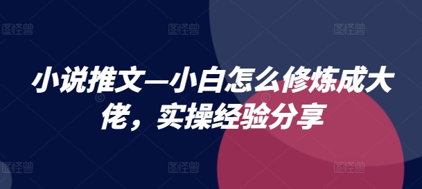小说推文—小白怎么修炼成大佬,实操经验分享-冒泡网
