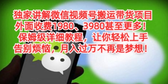 独家讲解微信视频号搬运带货项目,保姆级详细教程-冒泡网
