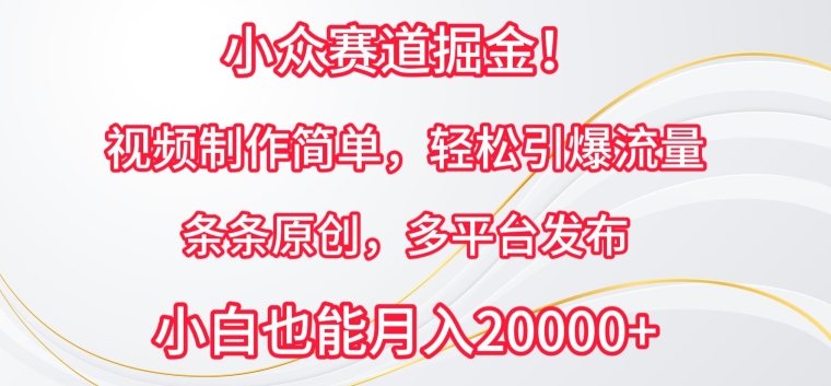 小众赛道掘金，视频制作简单，轻松引爆流量，条条原创，多平台发布【揭秘】-冒泡网