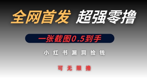 全网首发无限零撸捡钱项目,小红书一张截图0.5元可无限零撸-冒泡网