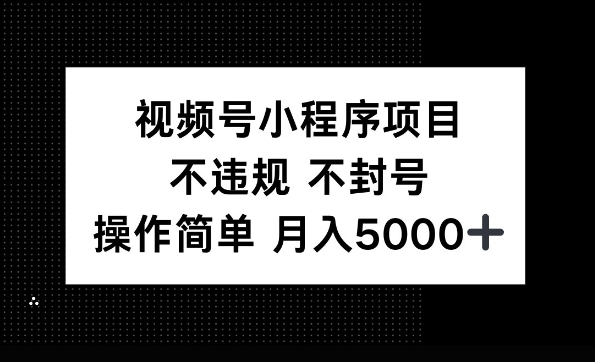 视频号小程序项目，不违规不封号，操作简单 月入5000+-冒泡网