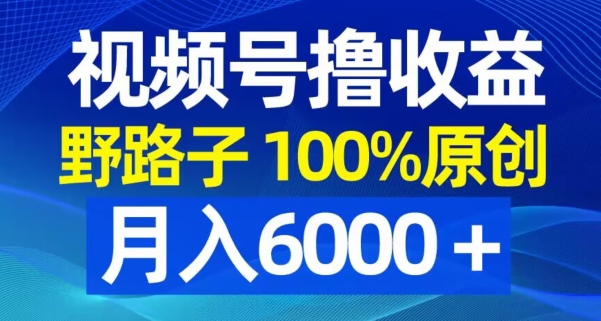 视频号野路子撸收益,100%原创,条条爆款,月入6000+【揭秘】-冒泡网