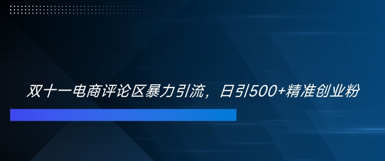 双十一电商评论区暴力引流，日引500+精准创业粉【揭秘】-冒泡网