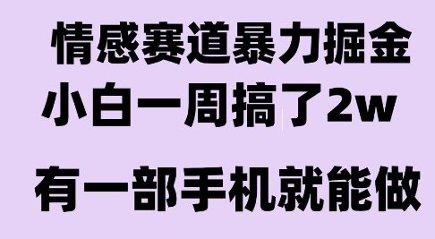 情感暴力掘金项目,新人操作一周挣了2W,长期稳定小白可做【揭秘】-冒泡网