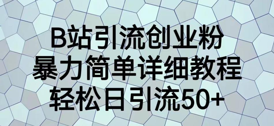 B站引流创业粉，暴力简单详细教程，轻松日引流50+【揭秘】-冒泡网