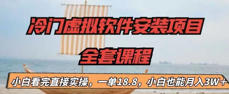 冷门虚拟软件安装项目,一单18.8,小白也能月入3W+【揭秘】-冒泡网