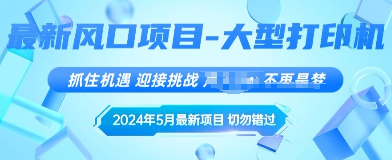 年5月最新风口项目,闲鱼卖大型打印机,无货源赚差价模式,小白也可以操作-冒泡网