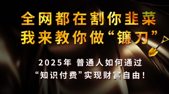 全网都在割你韭菜，我来教你做镰刀，2025普通人如何通过知识付费，实现财F自由【揭秘】-冒泡网