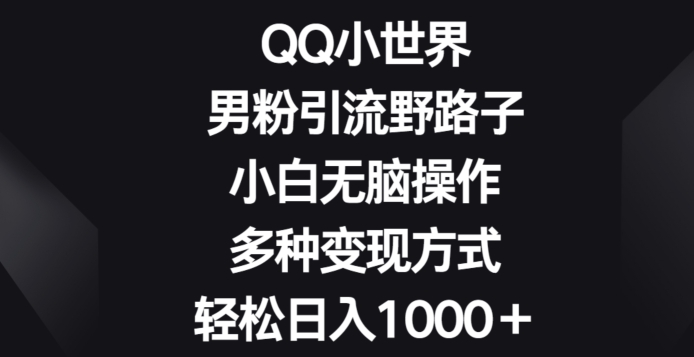 QQ小世界男粉引流野路子，小白无脑操作，多种变现方式轻松日入1000+-冒泡网