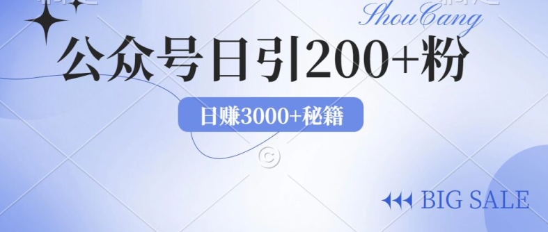 年用AI洗稿公众号日引流200+创业粉-冒泡网