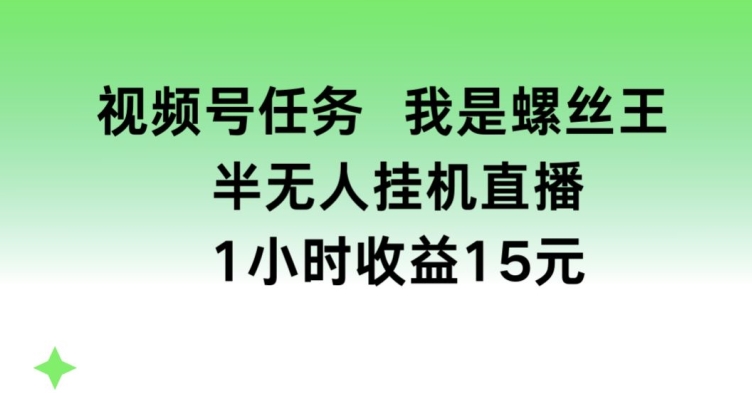 视频号任务，我是螺丝王， 半无人挂JI1小时收益15元【揭秘】-冒泡网