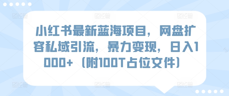小红书最新蓝海项目，网盘扩容私域引流，暴力变现，日入1000+（附100T占位文件）【揭秘】-冒泡网