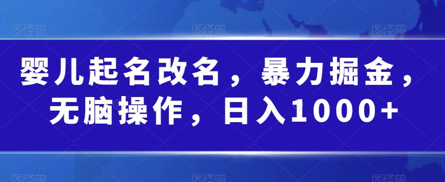 婴儿起名改名,暴力掘金,无脑操作,日入1000+【揭秘】-冒泡网