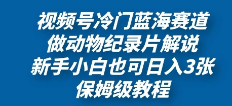 视频号冷门蓝海赛道,做动物纪录片解说,新手小白也日入3张,保姆级教程-冒泡网
