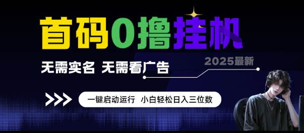 首码0撸挂G项目，无需实名无需看广告 一键启动运行，小白轻松日入三位数【揭秘】-冒泡网