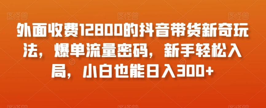 外面收费12800的抖音带货新奇玩法,爆单流量密码,新手轻松入局,小白也能日入300+【揭秘】-冒泡网