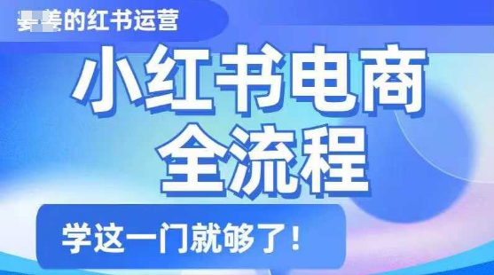 小红书电商全流程，精简易懂，从入门到精通，学这一门就够了-冒泡网
