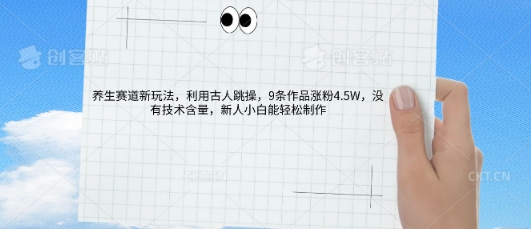 AI养生赛道新玩法，10条作品涨粉5.2W，操作简单，新人小白能轻松制作-冒泡网