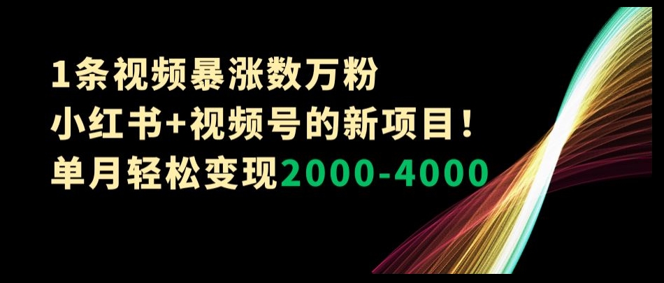 1条视频暴涨数万粉–小红书+视频号的新项目！单月轻松变现2000-4000【揭秘】-冒泡网